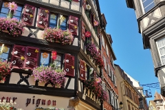 Colmar