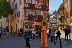 Colmar