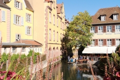 Colmar