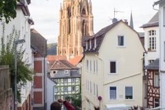 _MG_8924